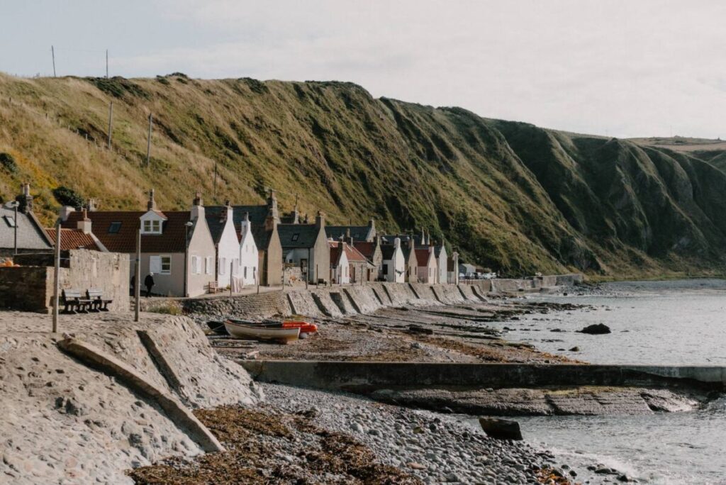 Crovie